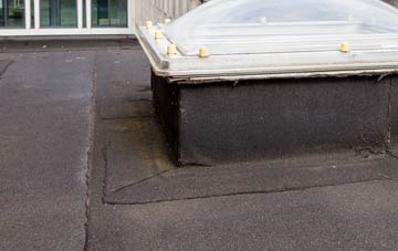 disadvantages of Forest Hill flat roofs