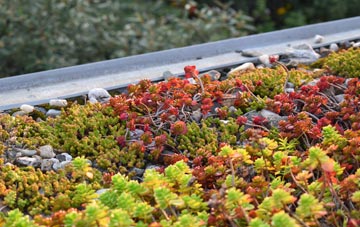 the cost of Forest Hill green roof installation