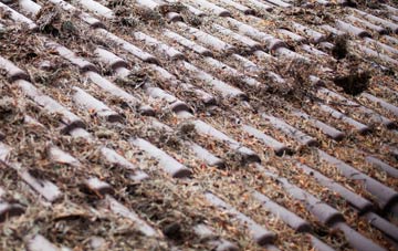 Forest Hill roof cleaning companies